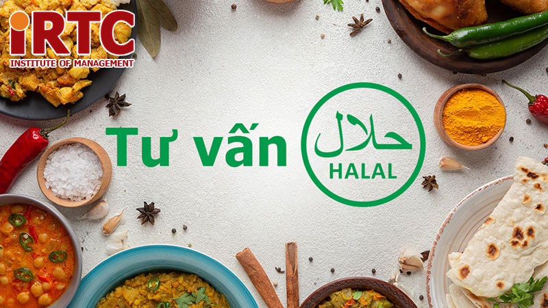 Tư vấn Halal - Cơ hội xuất khẩu tới thị trường Hồi giáo