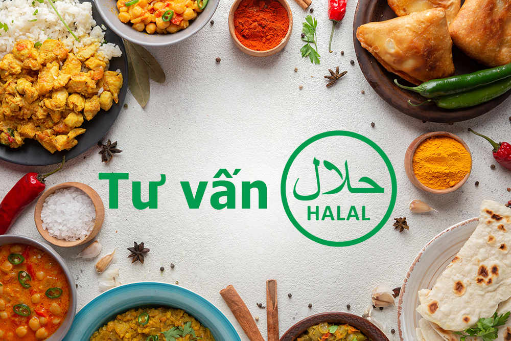 Tư vấn Halal - Cơ hội xuất khẩu tới thị trường Hồi giáo