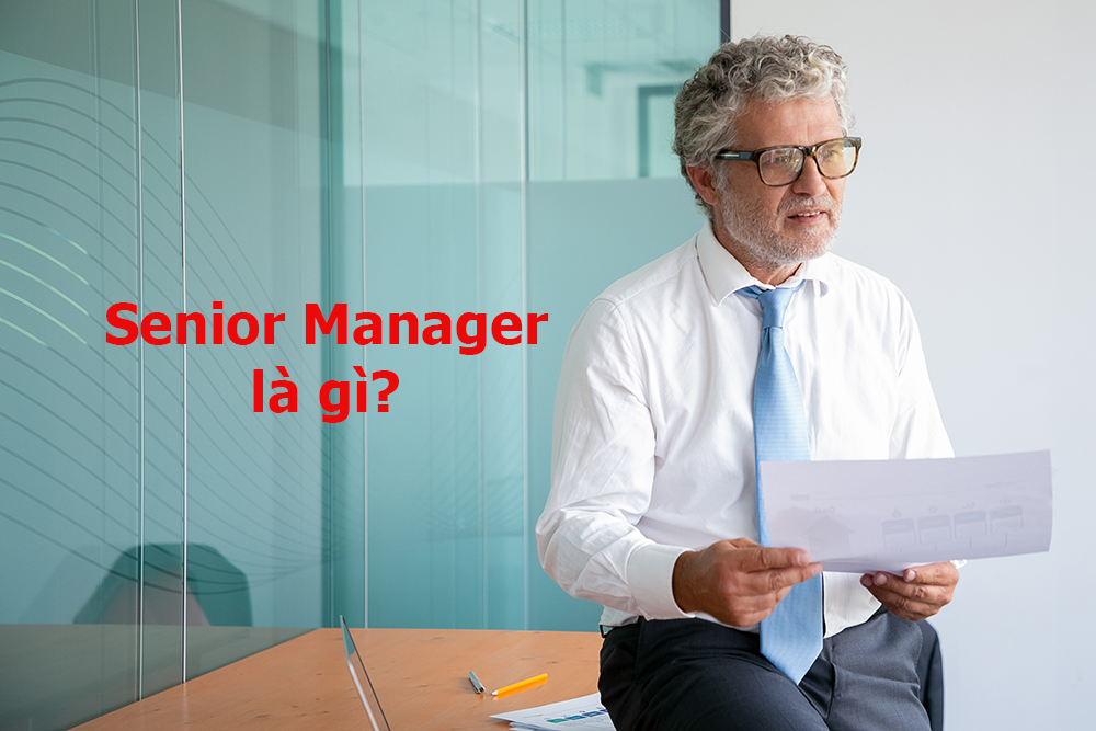 Senior Manager là gì? Vai trò và kỹ năng cần có của Senior Manager trong doanh nghiệp
