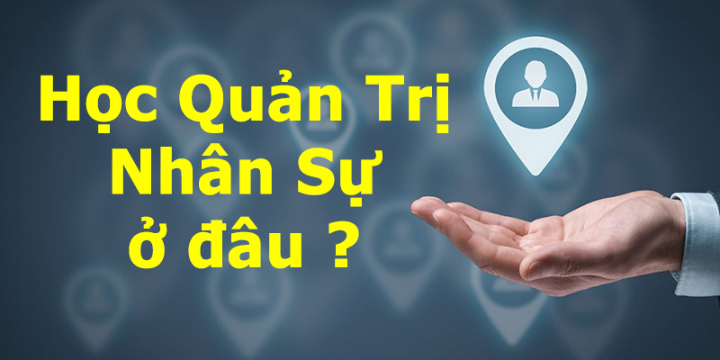 Quản Trị Nhân Sự Học Trường nào? Học Quản Trị Nhân Sự ở đâu tốt?